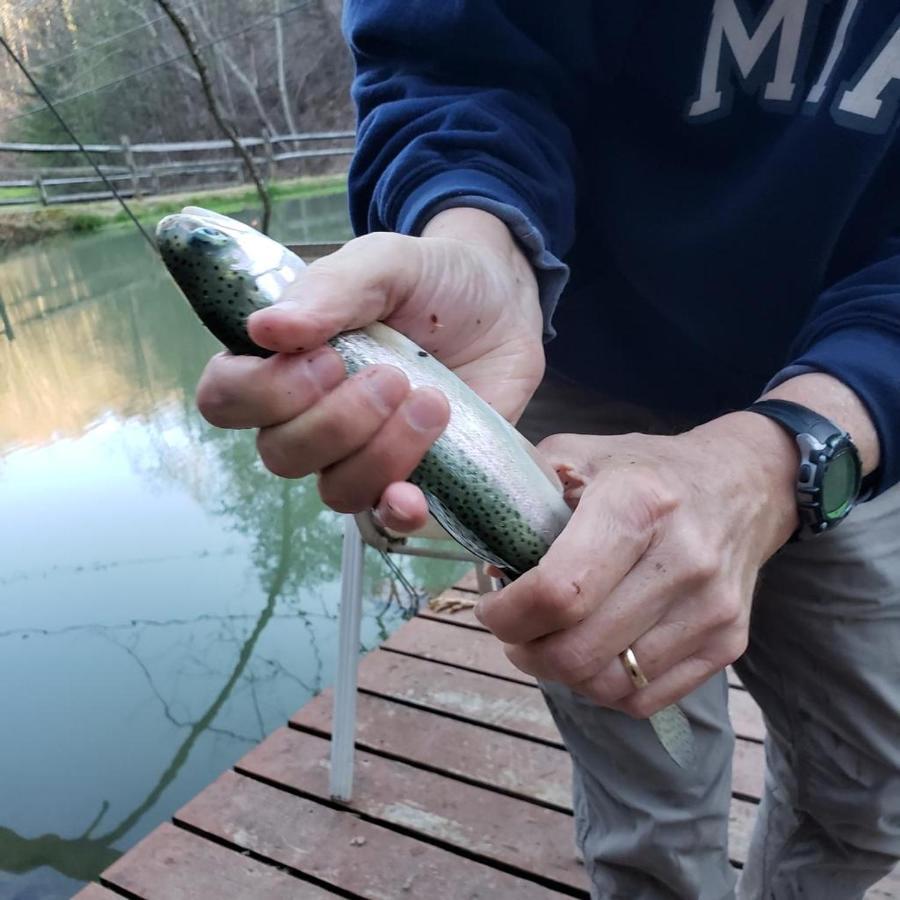 The Fishing Hole Cabin - Sage Vacations Gatlinburg Bagian luar foto
