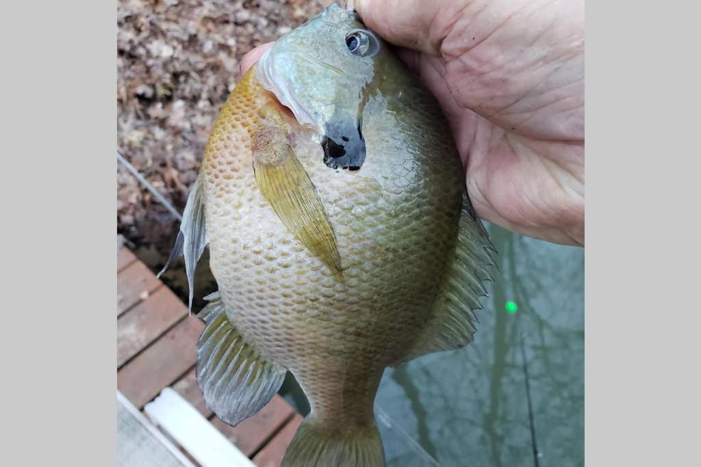 The Fishing Hole Cabin - Sage Vacations Gatlinburg Bagian luar foto