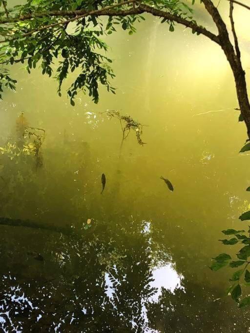 The Fishing Hole Cabin - Sage Vacations Gatlinburg Bagian luar foto